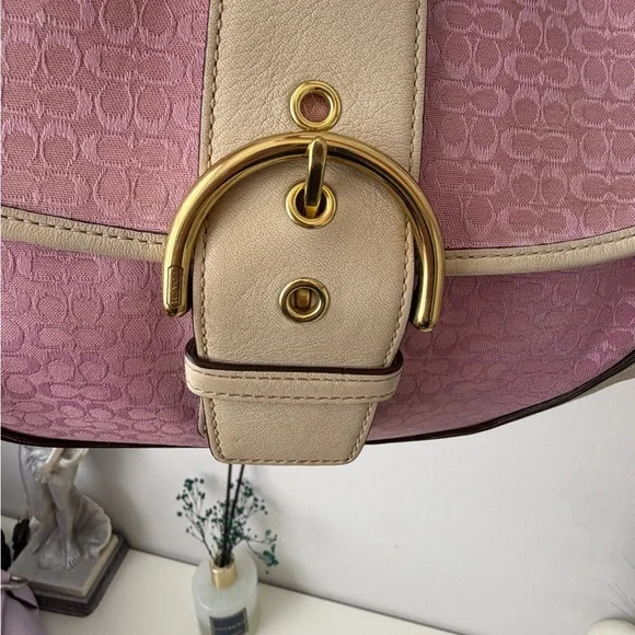 Send offers β’ Coach Pink/Purple Soho Set - Picture 5 of 14